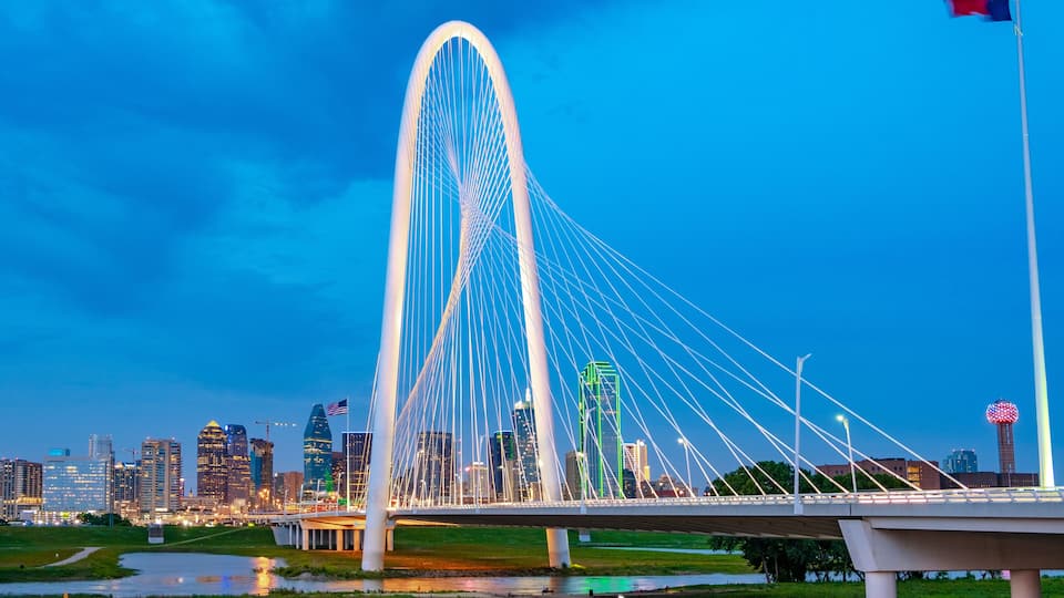 A cable-stayed bridge with a city skyline in the background.
