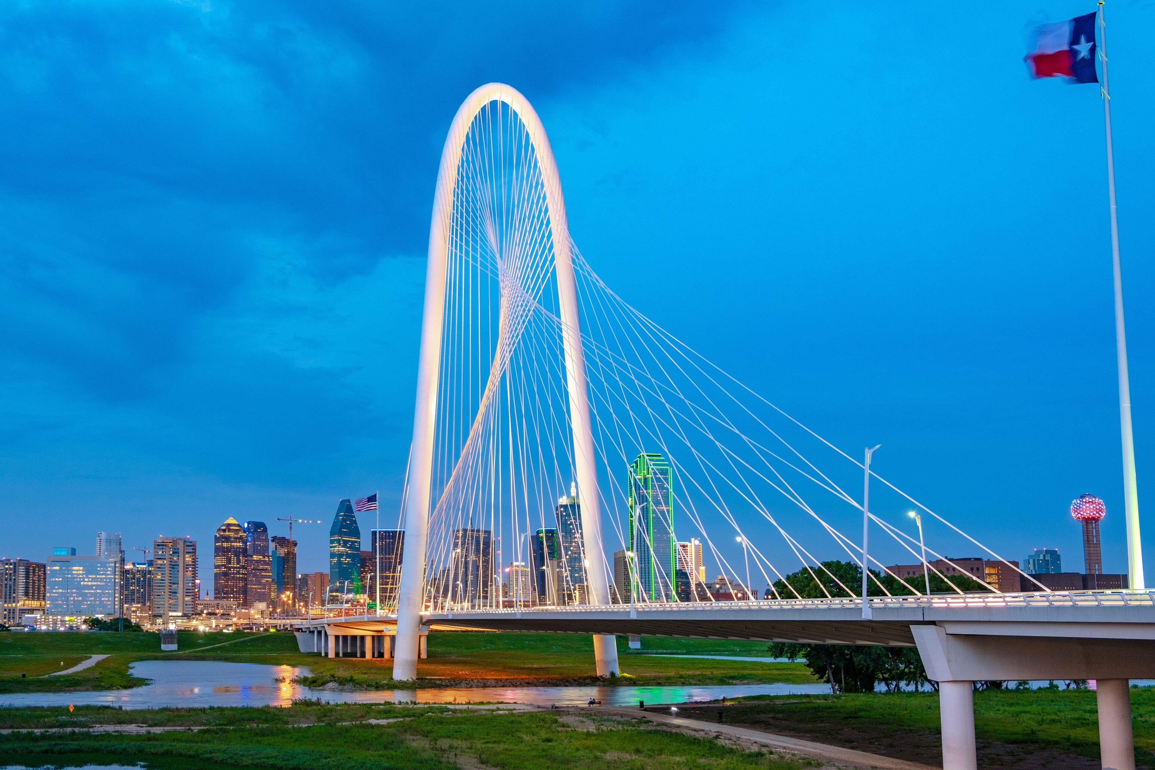 A cable-stayed bridge with a city skyline in the background.