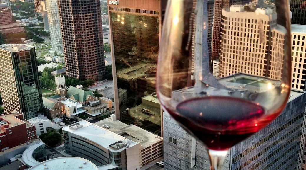 Downtown Dallas, Texas near Thanksgiving Square. Taking in the views at Tower Club Dallas. #aboveitall