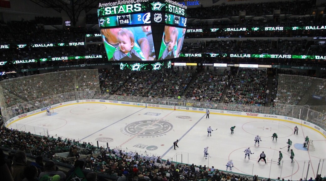 Dallas Stars!