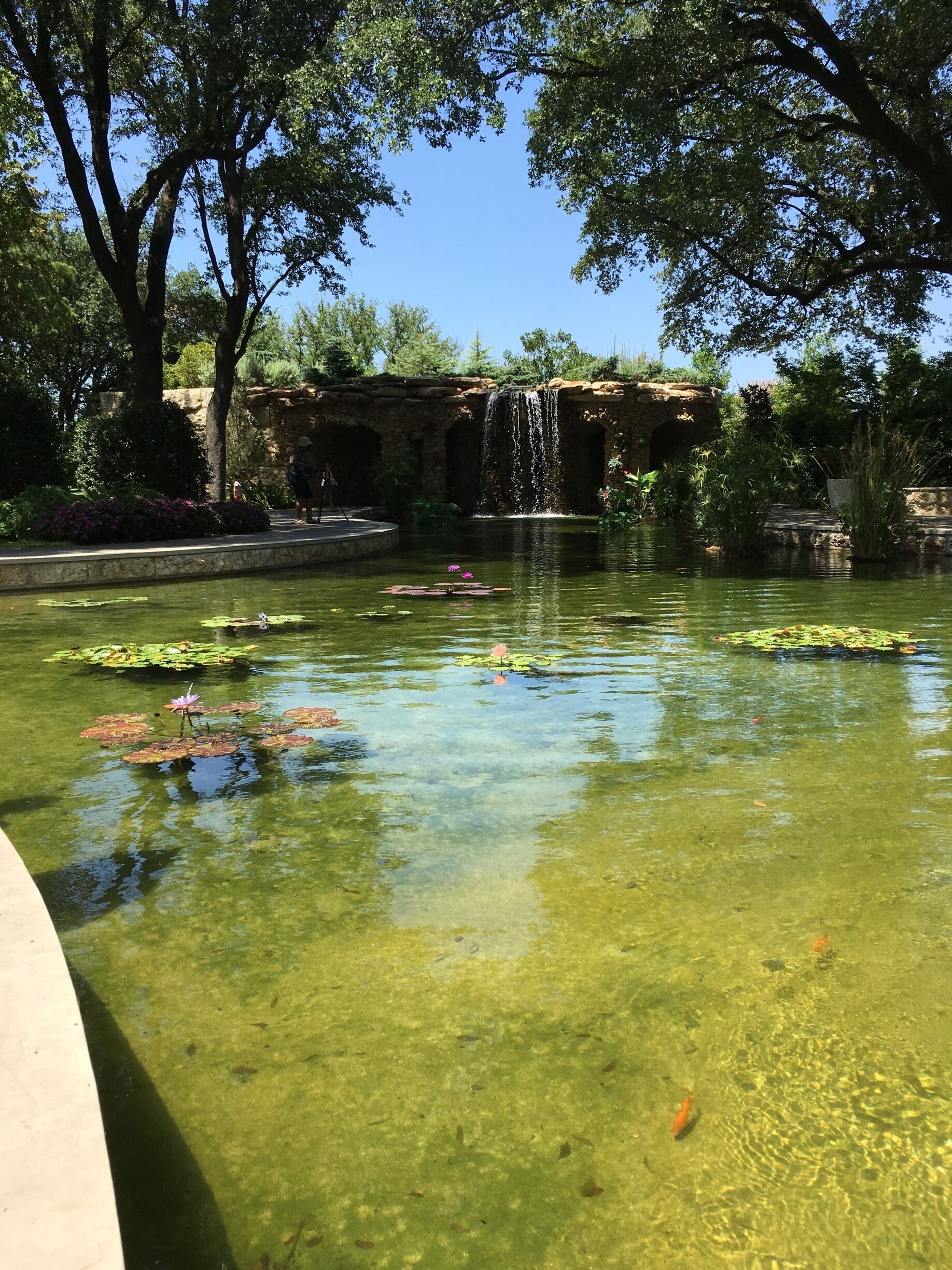 We decided to visit the arboretum as an extra activity on our visit to Dallas. However, pretty quickly we realized we would need all day to see and walk through the whole park. This is a beautiful place where you can enjoy nature and the activities they have for the children. We will definitely visit again. 