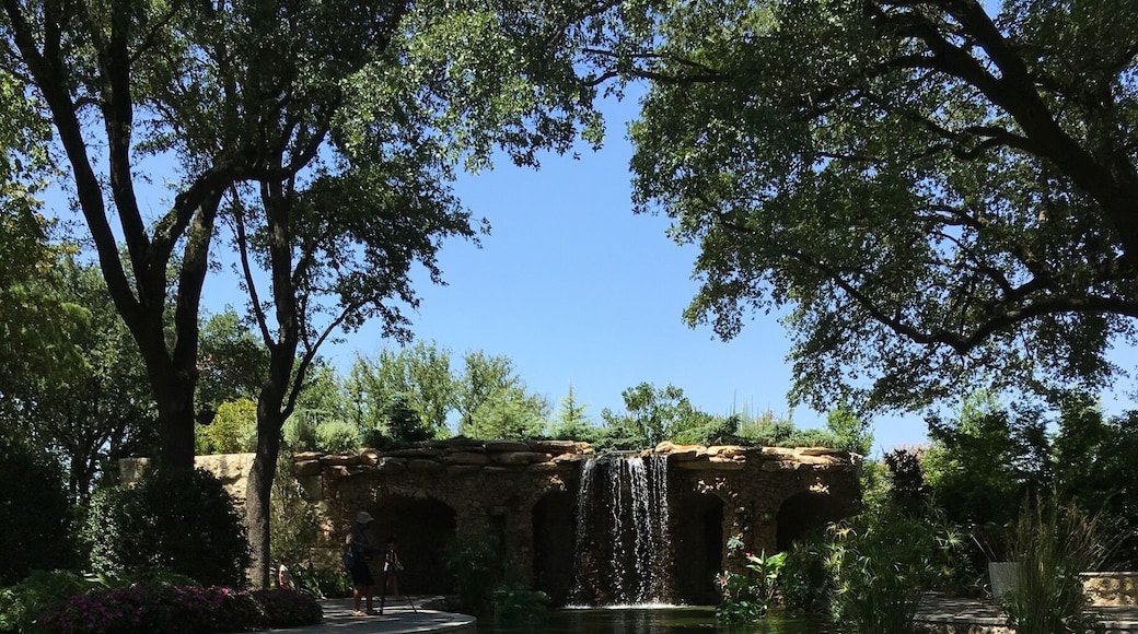 We decided to visit the arboretum as an extra activity on our visit to Dallas. However, pretty quickly we realized we would need all day to see and walk through the whole park. This is a beautiful place where you can enjoy nature and the activities they have for the children. We will definitely visit again.