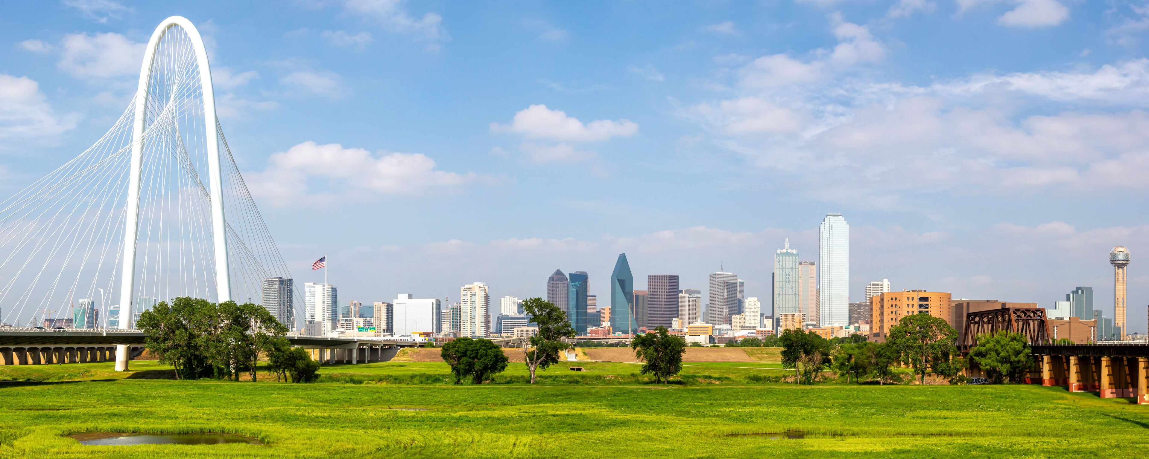 Contea di Dallas
