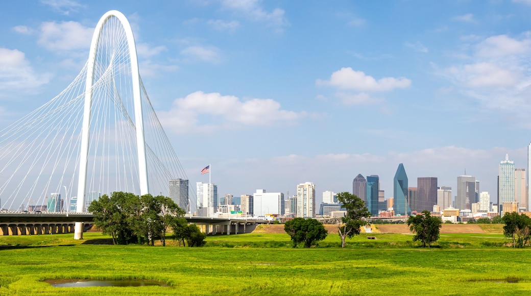 Contea di Dallas