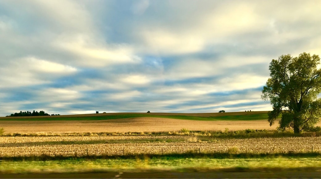 Passing landscapes