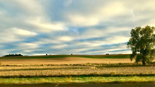 Passing landscapes