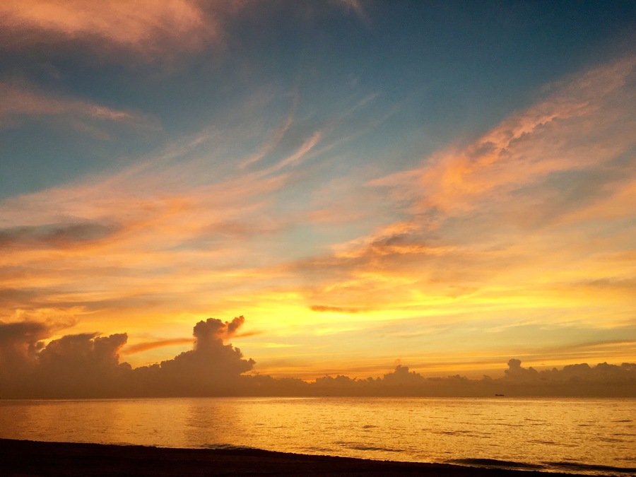 A private Atlantic Ocean beach only 2.9 miles long between Boca Raton and Delray Beach, bordered by the Intracoastal Waterway to the west. A favorite nesting area for sea turtles March 1st thru October 31st every year. #Nature