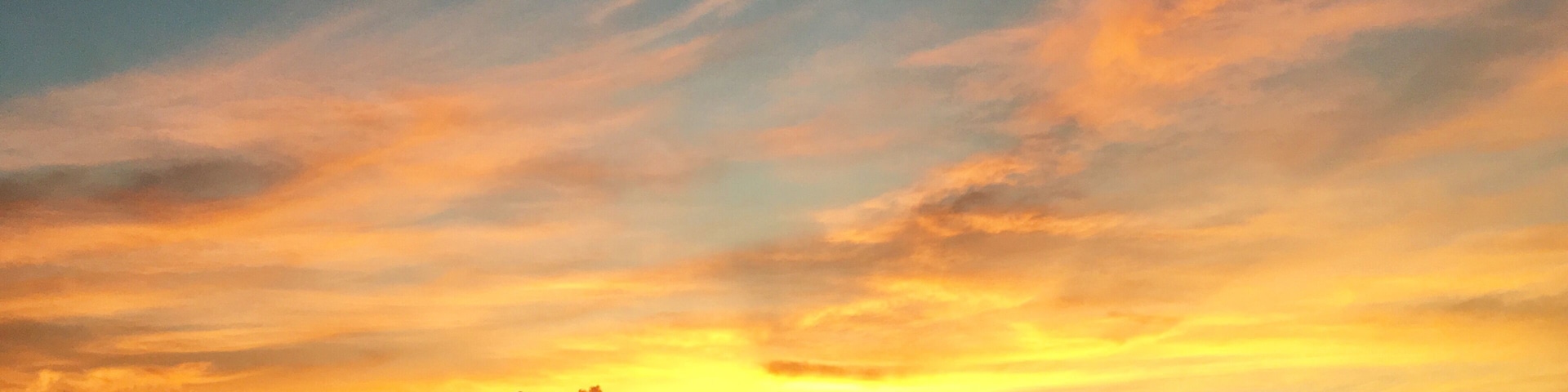 A private Atlantic Ocean beach only 2.9 miles long between Boca Raton and Delray Beach, bordered by the Intracoastal Waterway to the west. A favorite nesting area for sea turtles March 1st thru October 31st every year. #Nature