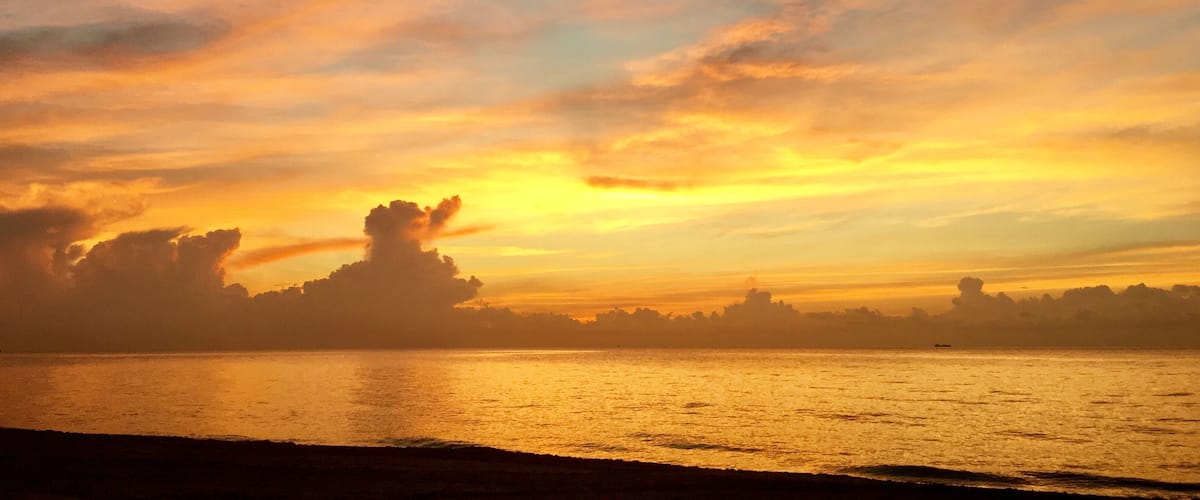 A private Atlantic Ocean beach only 2.9 miles long between Boca Raton and Delray Beach, bordered by the Intracoastal Waterway to the west. A favorite nesting area for sea turtles March 1st thru October 31st every year. #Nature