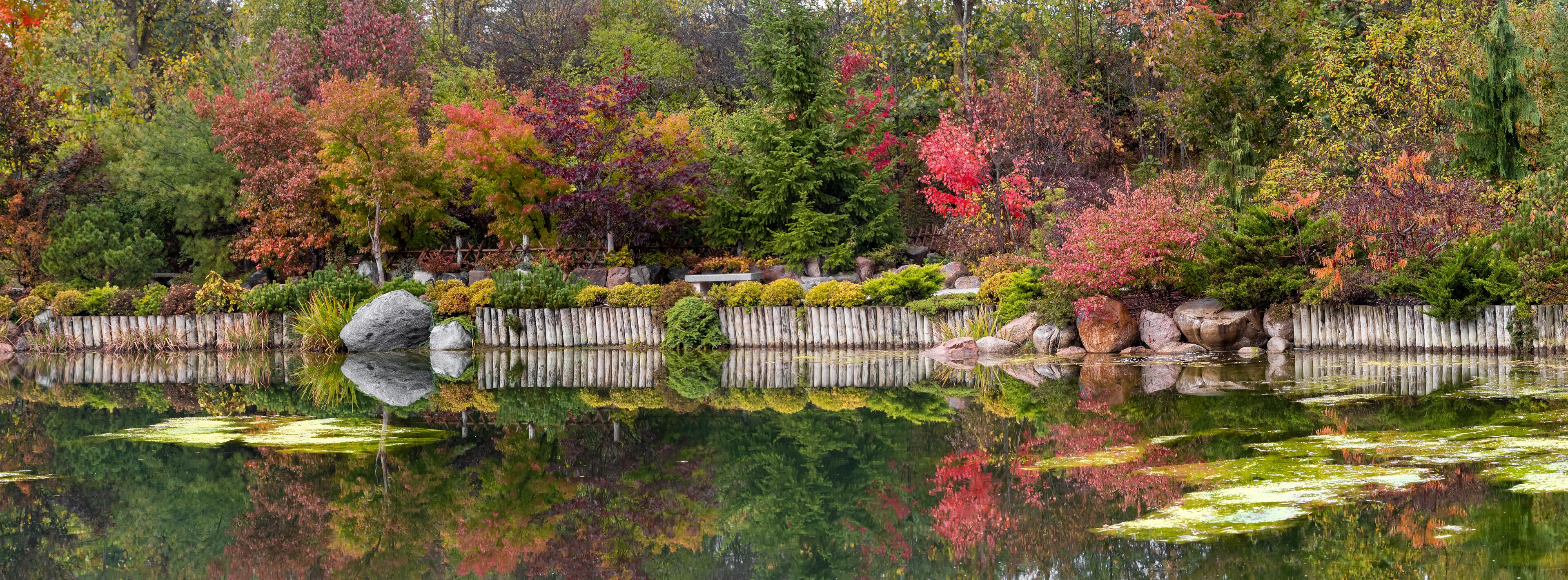 Japanese garden in Frederik Meijer gardens ,Grand rapids, Michigan