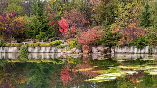 Japanese garden in Frederik Meijer gardens ,Grand rapids, Michigan