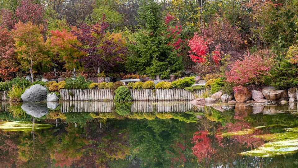 A serene pond with reflections of trees and rocks, surrounded by a wooden fence and various shrubs.