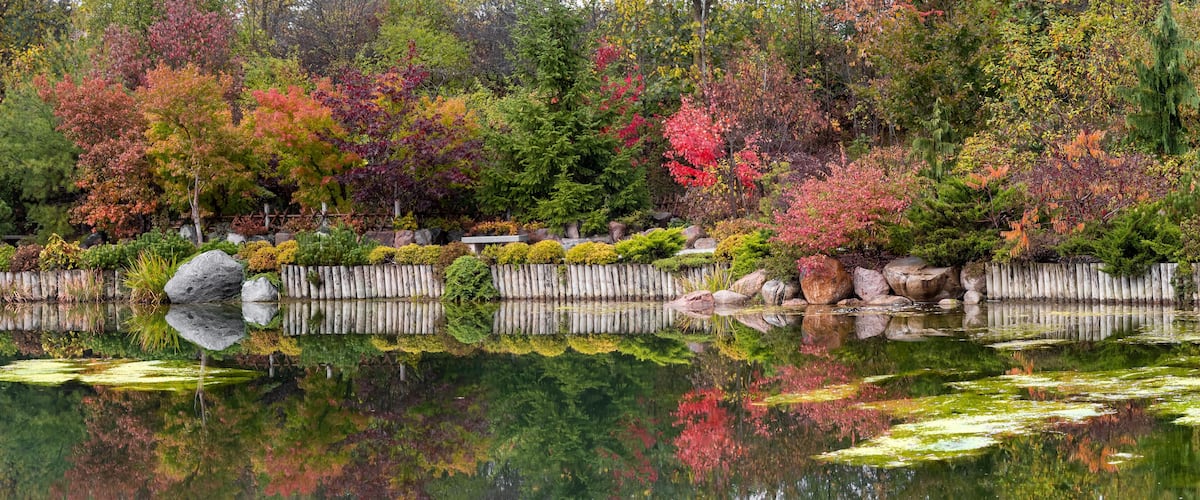 A serene pond with reflections of trees and rocks, surrounded by a wooden fence and various shrubs.