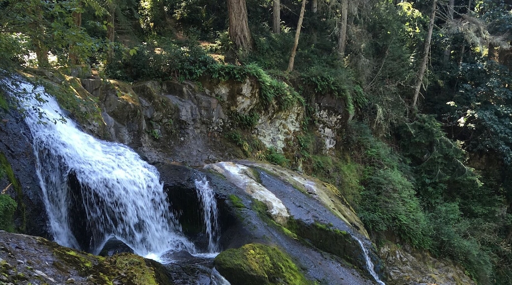 Beautiful falls...park on road and follow the left hand trail about 1/2 mile