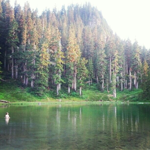 See how shallow this is? We felt safe letting our three- and six-year-old wade  at least 20 yards out into this lovely little lake.  The fish were jumping, too!