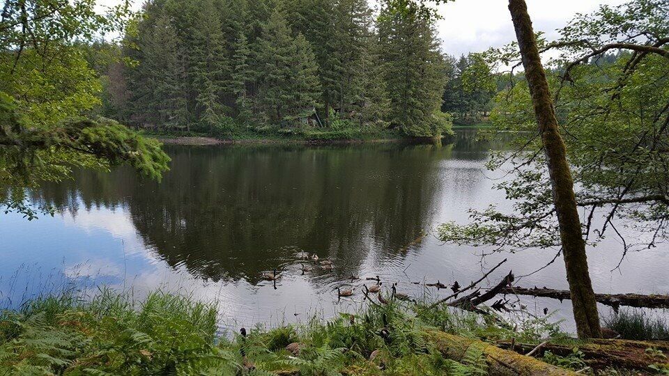 One of the views from tram tour.