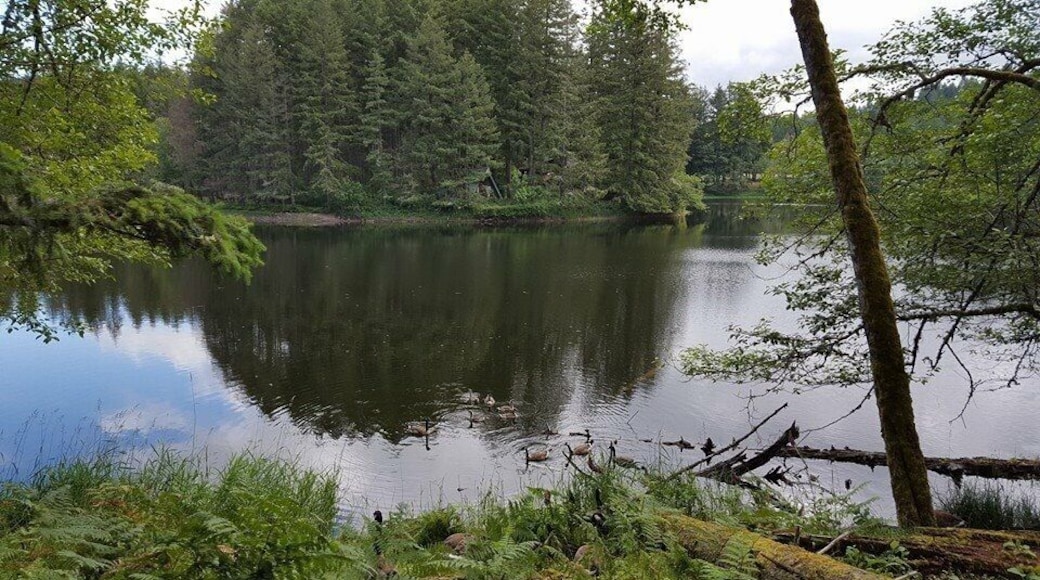 One of the views from tram tour.