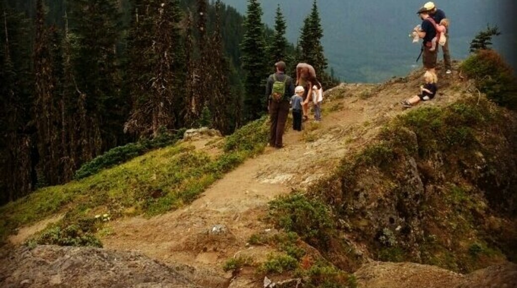Just 1100 feet of elevation gain and you too could look like something out of The Sound of Music. But really, the views from the top of this peak are astounding, especially the one of Mt. Rainier that is just the other direction from this one.
