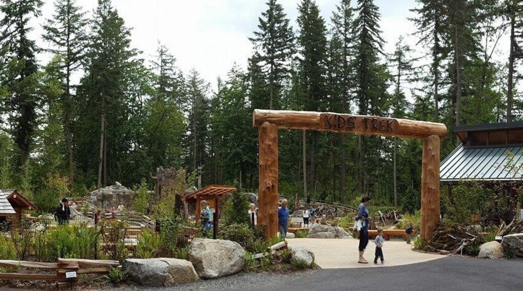 Play area inside the park.