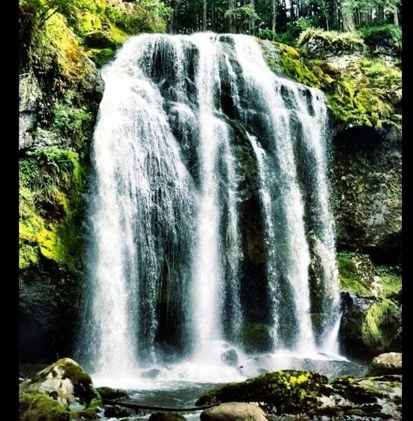 A waterfall cascading over moss-covered rocks in a forested area.