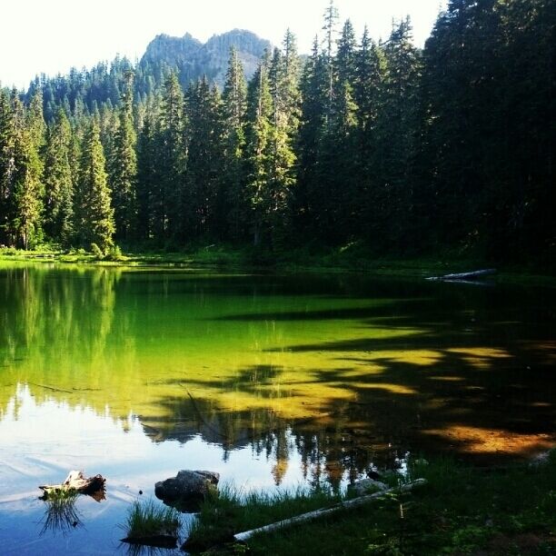 Another of this pretty lake! I got a few good shots and couldn't resist posting this one, too. There were lots of bugs at this time of year but nothing some good bug spray couldn't handle.