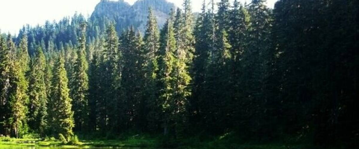 Another of this pretty lake! I got a few good shots and couldn't resist posting this one, too. There were lots of bugs at this time of year but nothing some good bug spray couldn't handle.