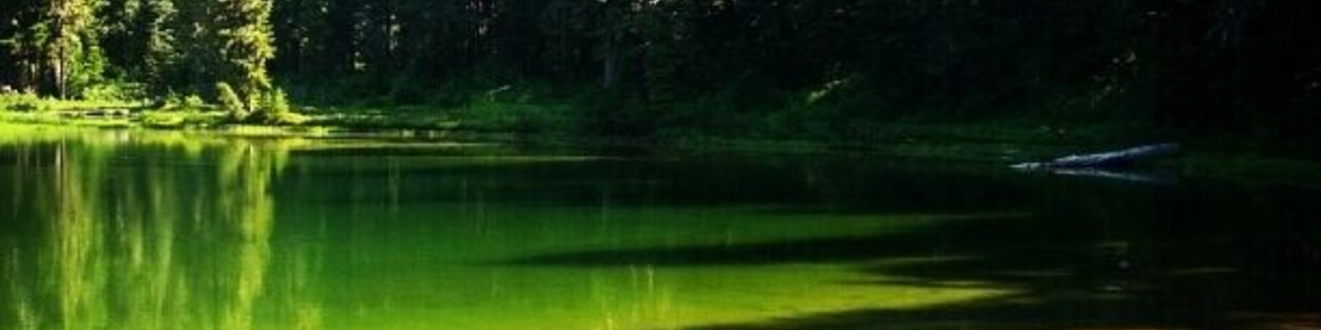 Another of this pretty lake! I got a few good shots and couldn't resist posting this one, too. There were lots of bugs at this time of year but nothing some good bug spray couldn't handle.