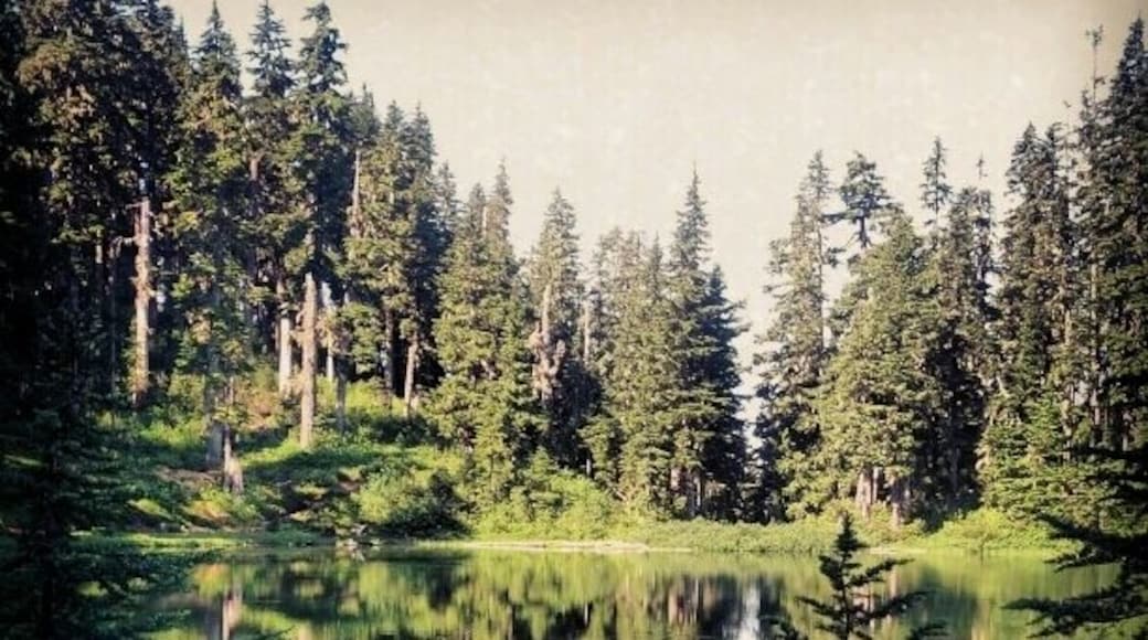 Fantastic backpacking destination for families here at Lake Christine. And at less than a mile from the car, close enough for two trips. The road was a little rough and the turn-off unmarked, but worth it for the dramatic scenery.