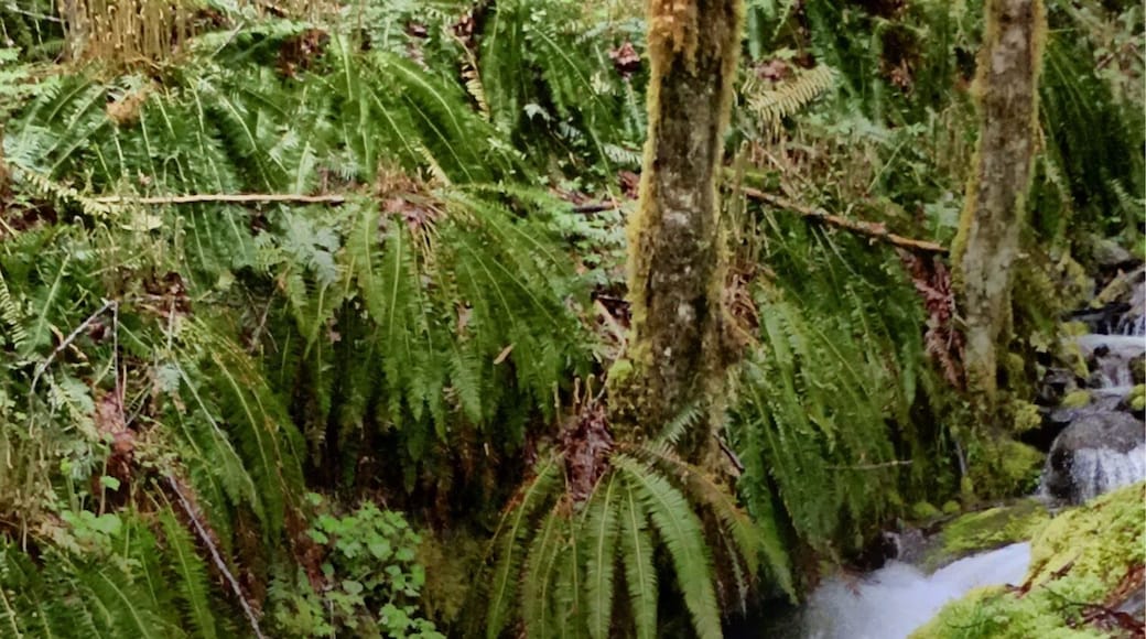 An hour or so south of Eatonville