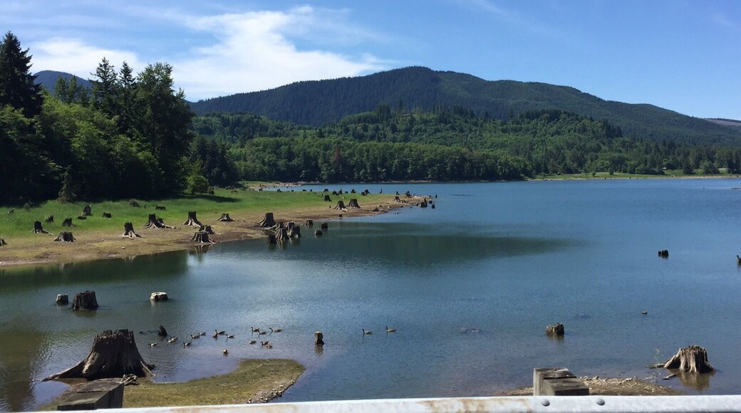 Nice place to camp and explorer!
The old or original town of Alder was located in Pierce County WA where present day Alder lake is located.
Alder was platted in 1905 by Martin Holes. The name of the town was taken from the abundance of alder trees on the hills surrounding the town site. In 1909 the town had a population of 200 with two general stores, two hotels, fraternal hall, church, school, saw and shingle mill, and two logging camps nearby.
In 1942 the second Nisqually Dam Project began. Construction on the Dam lasted through WWII. In September of 1944 the last bucket of concrete was poured, completing the dam. The town of Alder moved out, and the town site was flooded shortly there after.
www.ghosttownsofwashington.com/alder.html
#camping #park #view #history #getoutside #hiking