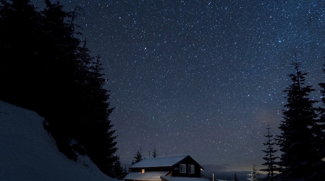 My inauguration coverage at Copper Creek Hut in Ashford Washington.
The Copper Creek Hut is a backcountry retreat run by the Mount Tahoma Trails Association. Their cabins and trail systems are a real treat for people wanting to get out of the city and experience the mountains. Plus, the views are insane!
#Rainier #backcountry #Washington #PNW #cabin #WinterWonder #stars