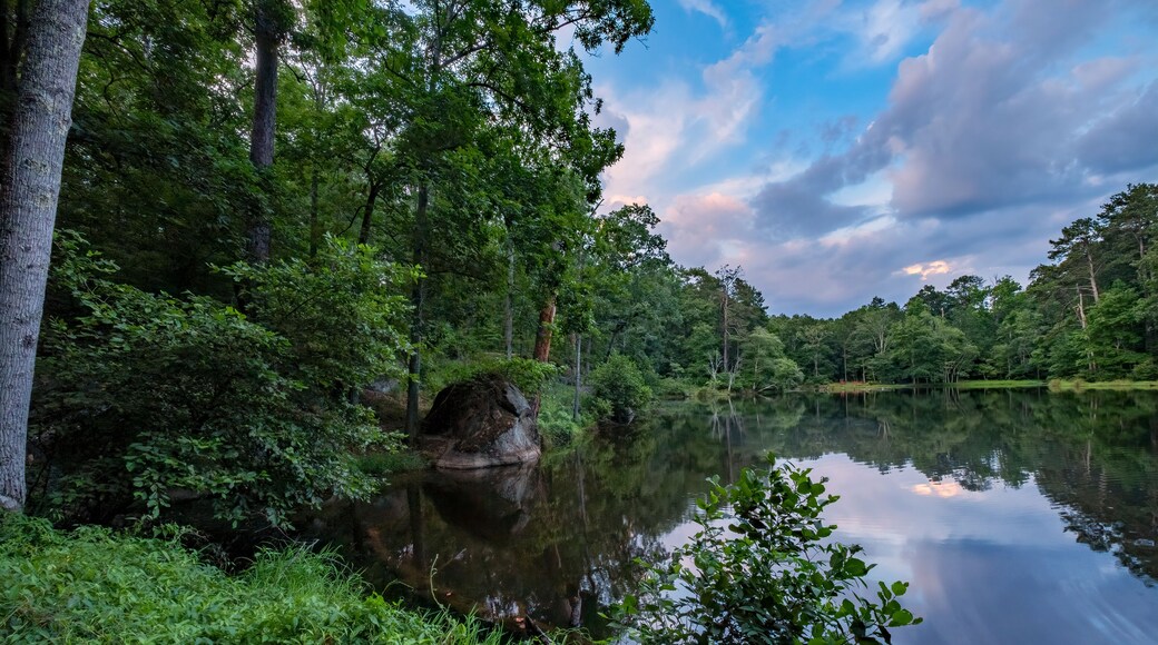 Small Lake at the Base of Panola Mountain in Georgia, USA
