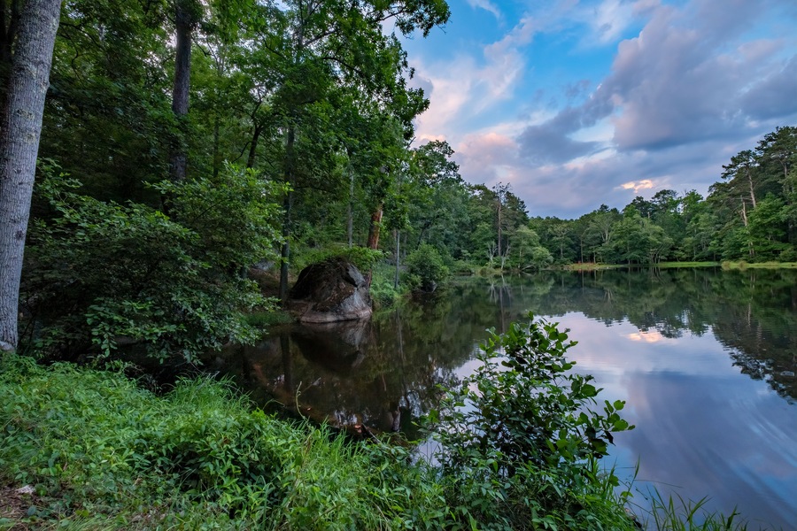 Small Lake at the Base of Panola Mountain in Georgia, USA