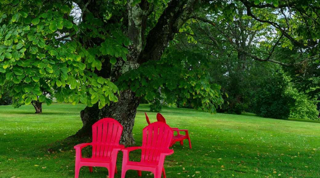 Stockbridge, Massachusetts, USA Red garden chairs on the grounds of the Norman Rockwell Museum.