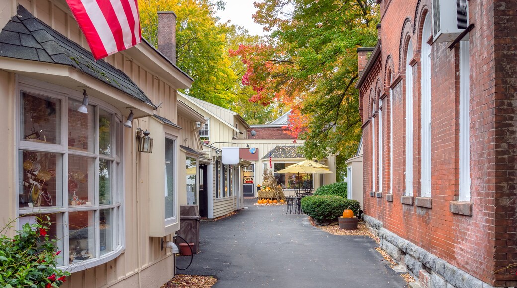 Deserted Alley Lined with Traditional Shops Decorated for Halloween