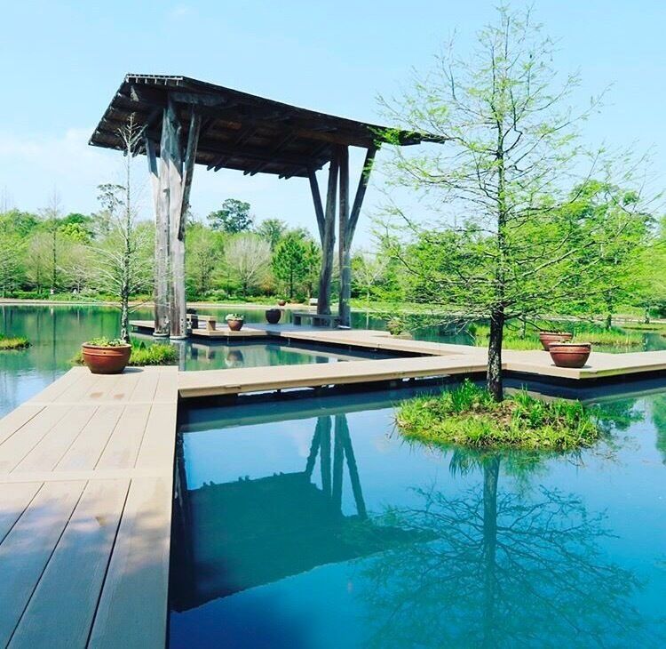 Great place to relax and enjoy nature