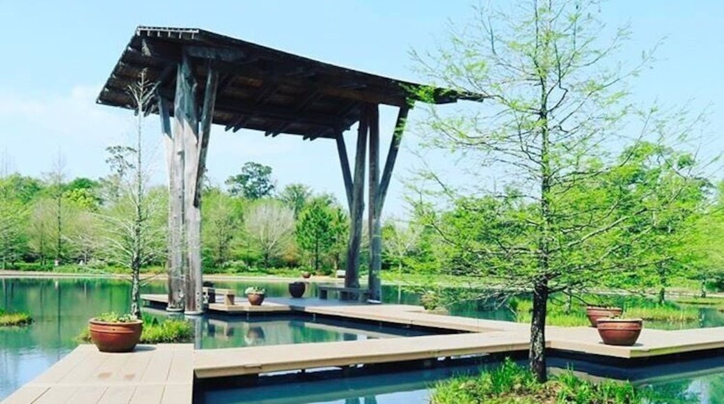 Great place to relax and enjoy nature