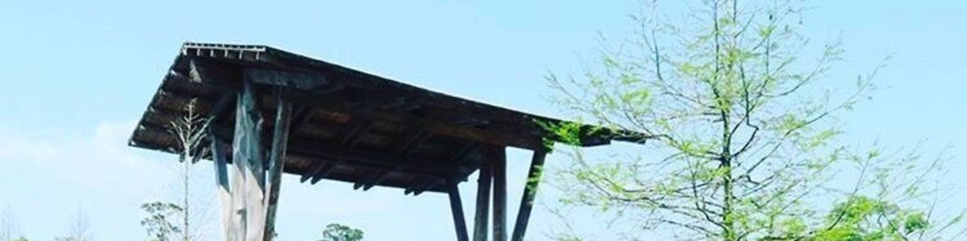 Great place to relax and enjoy nature