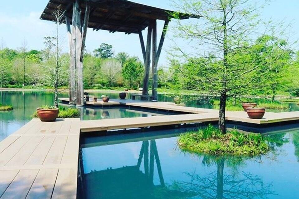 Una piscina tranquila al aire libre con un deck de madera, rodeada de abundante vegetación y un cielo despejado.
