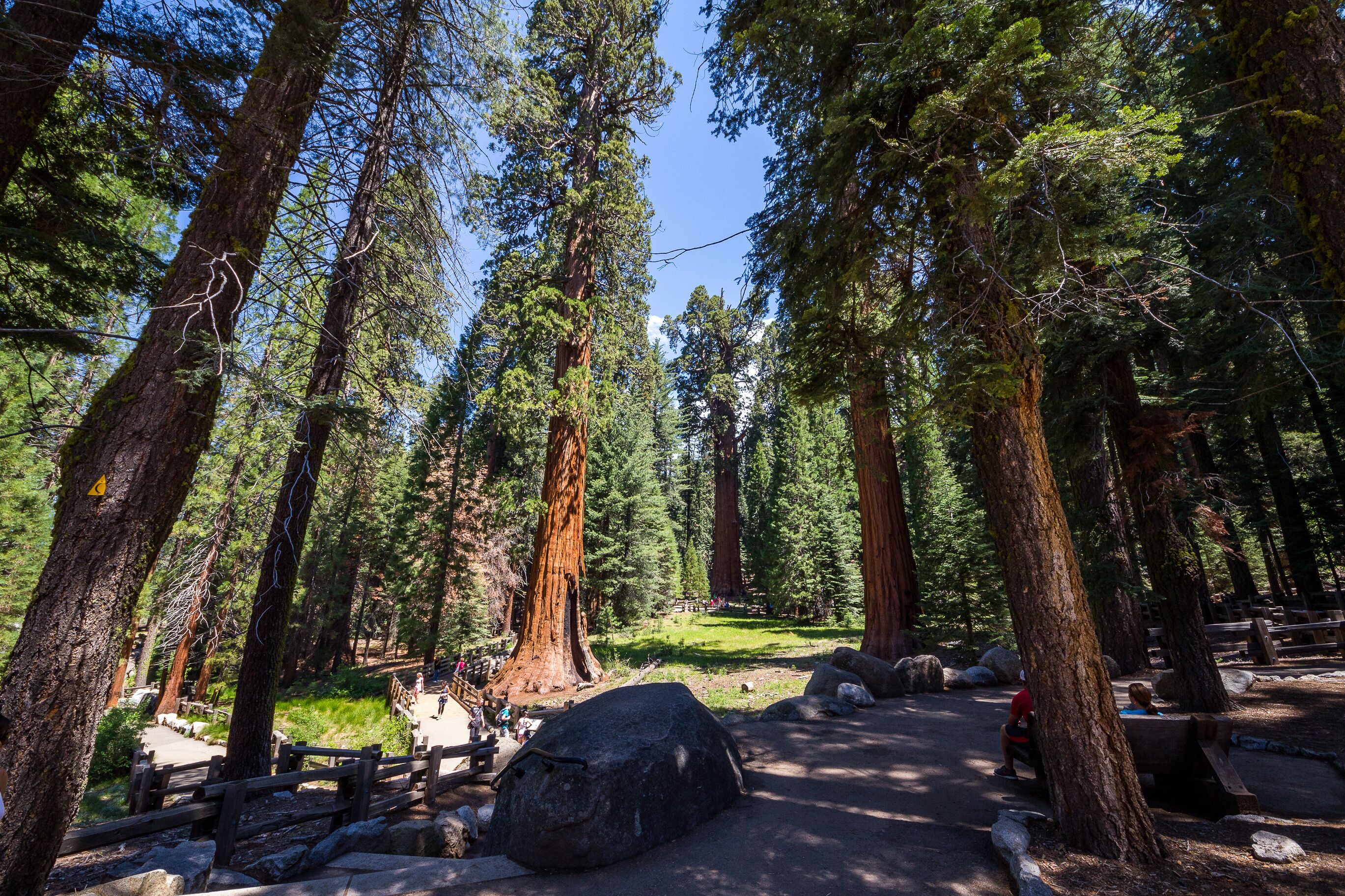 Sequoia National Park