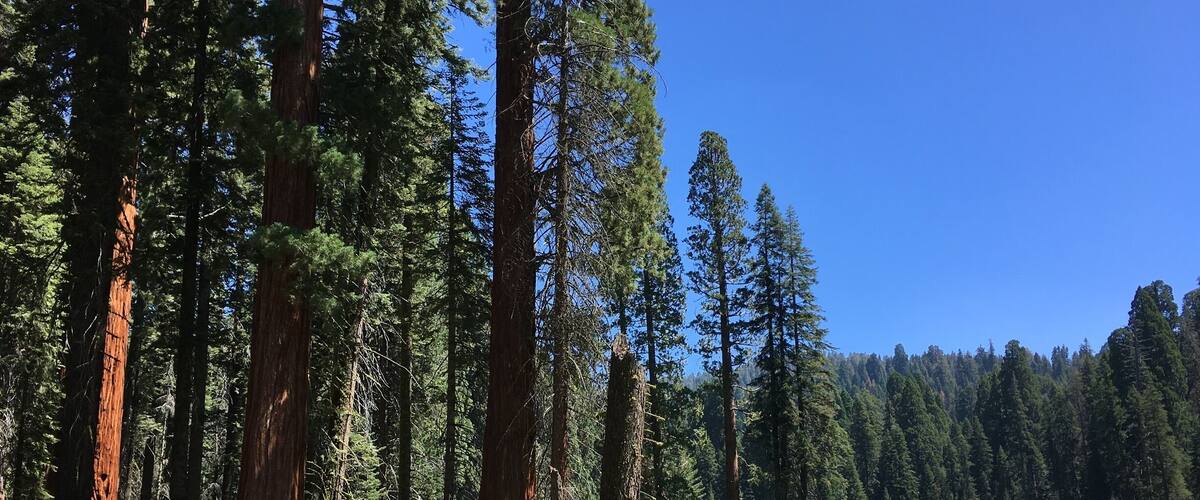 Nice trail, beautiful scenic