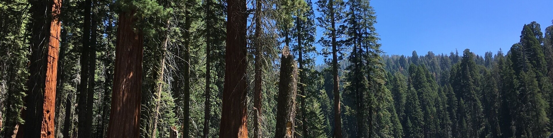 Nice trail, beautiful scenic
