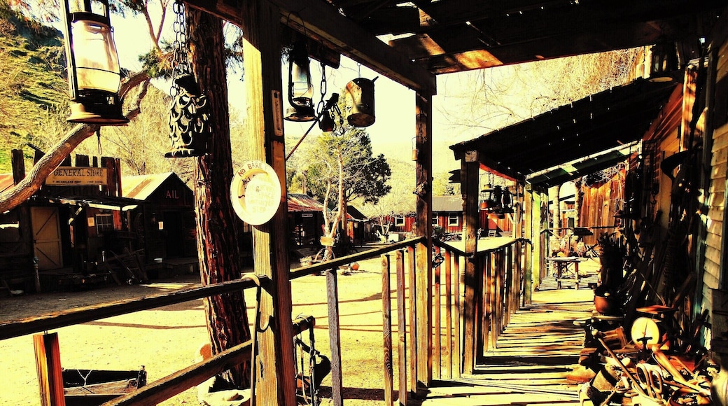 Silver City is one of many ghost towns left in ruins since the California Gold Rush.