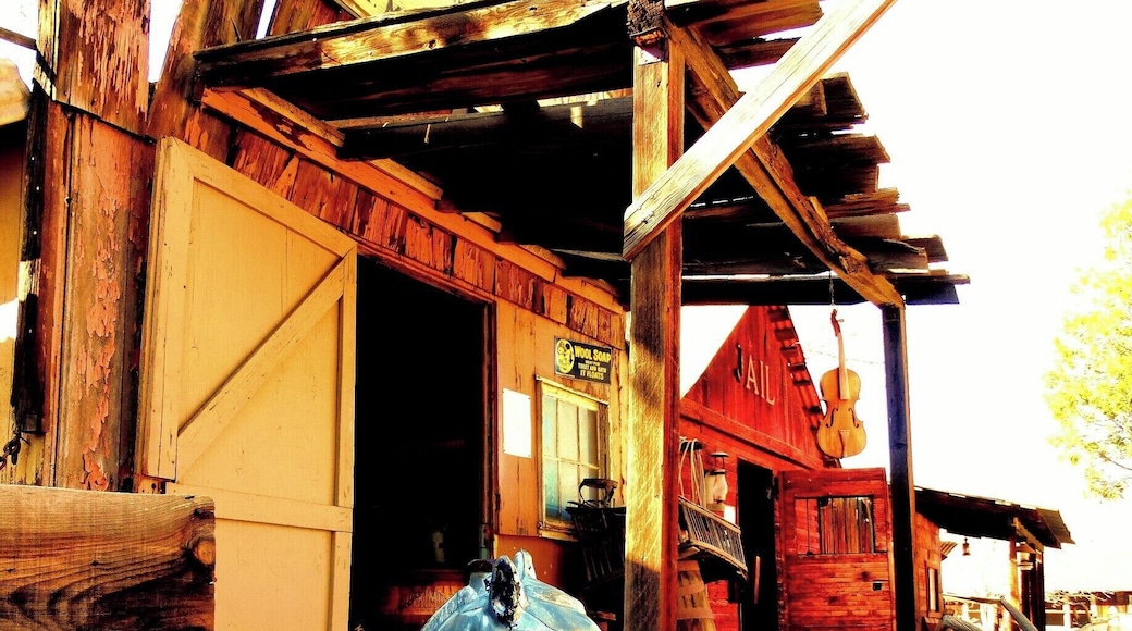 Silver City is one of many ghost towns left in ruins since the California Gold Rush.