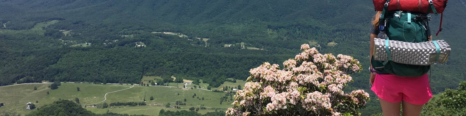 A hiker overlooking a mountainous landscape with lush greenery and a clear sky.
