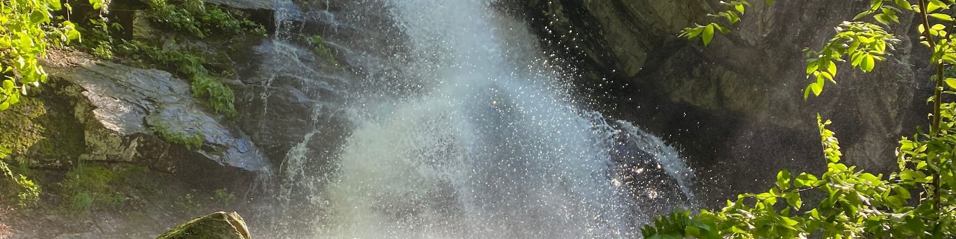 A waterfall cascading over rocks in a forested area.