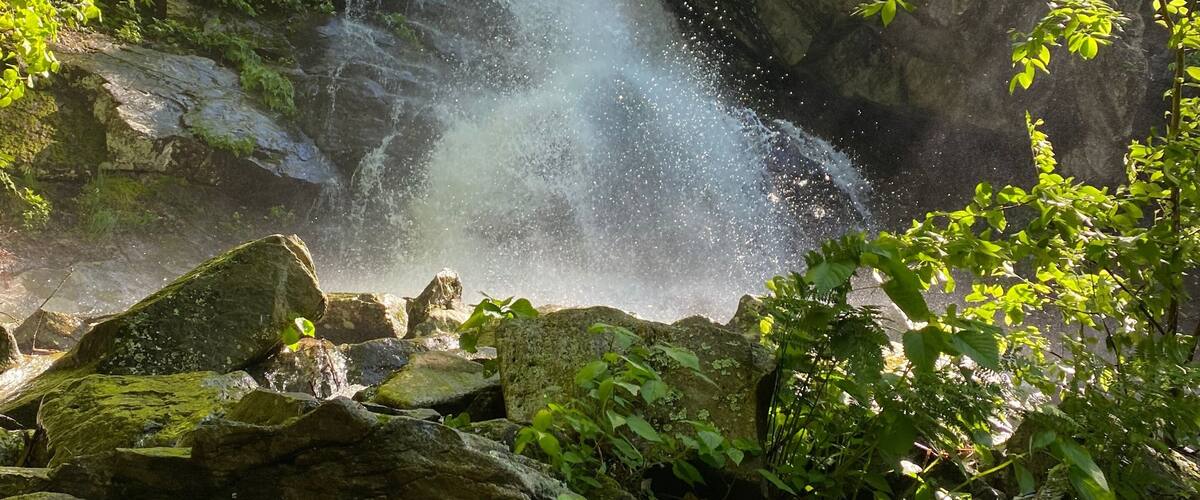A waterfall cascading over rocks in a forested area.