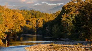 Snoqualmie showing a river or creek, a sunset and forest scenes