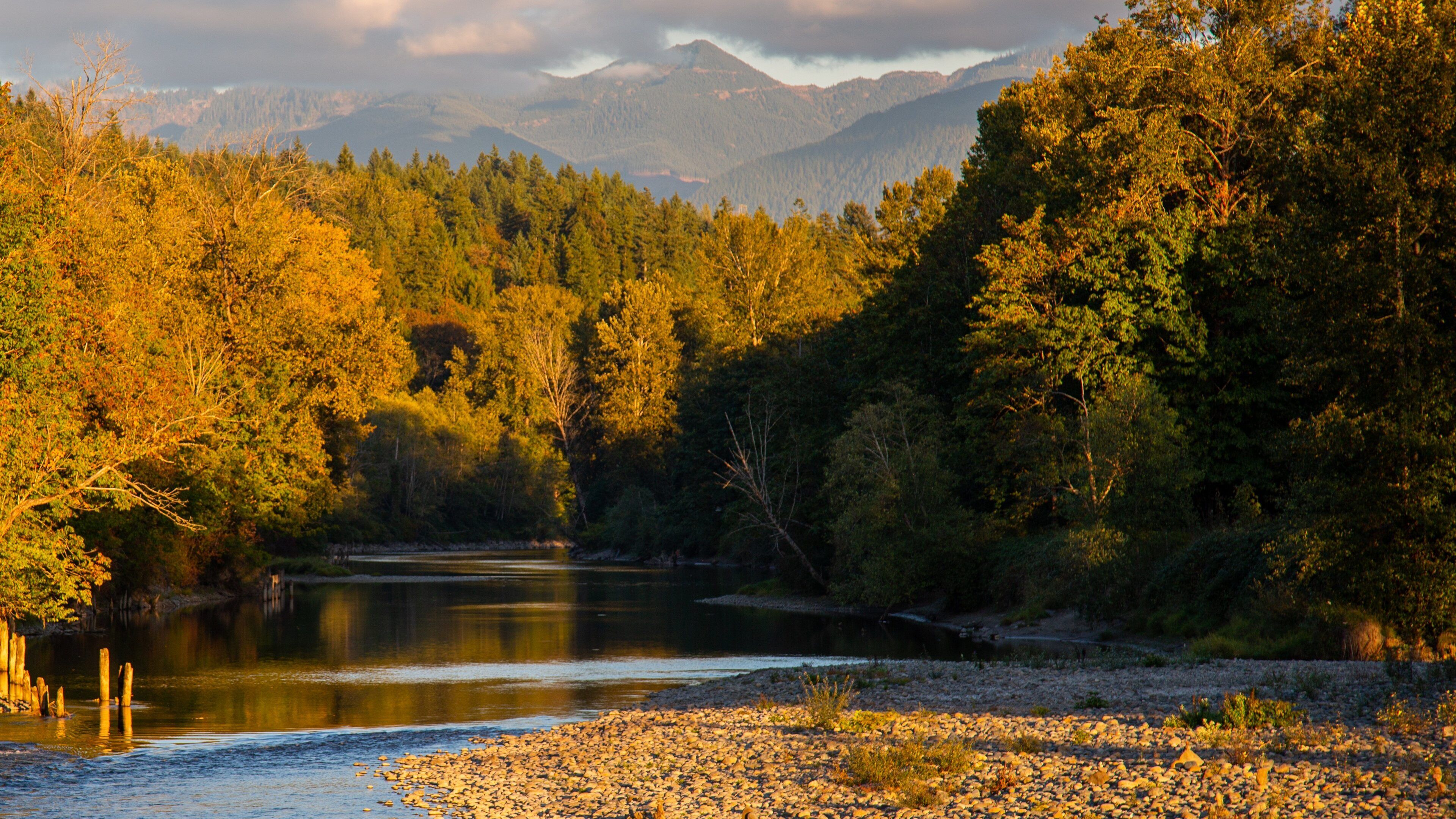 A river surrounded by dense forest and mountains in the background.