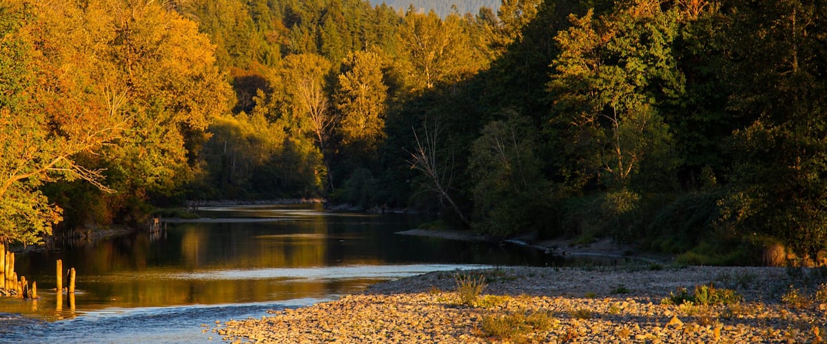 A river surrounded by dense forest and mountains in the background.